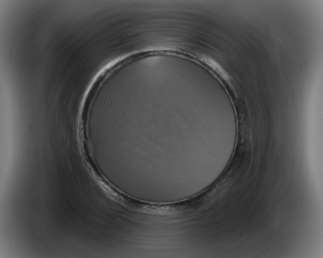 X0000086221072200704191733