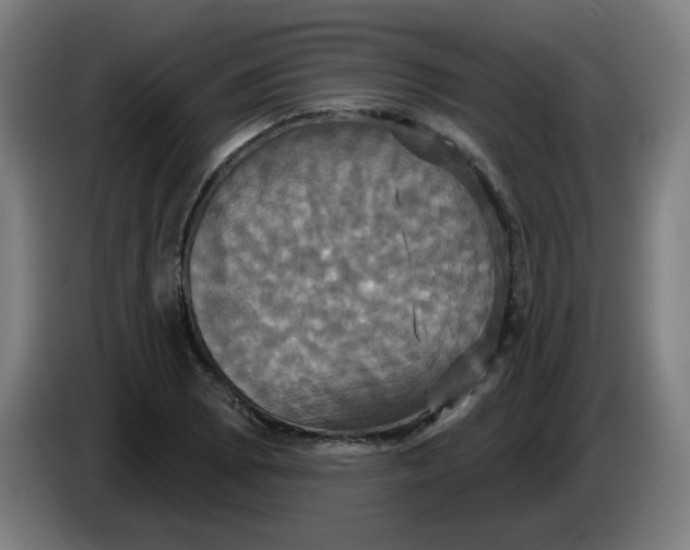 X0000086221073200704191733