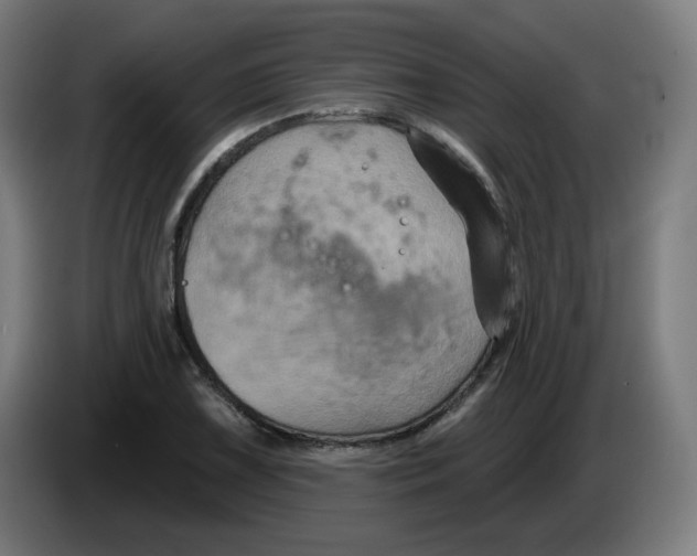 X0000086221075200704191733