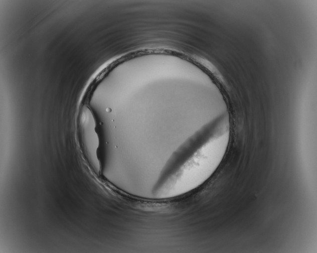 X0000086221076200704191733