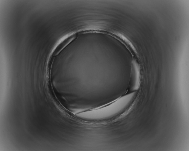 X0000086221077200704191733