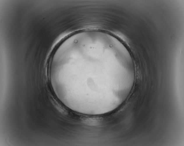 X0000086221078200704191733