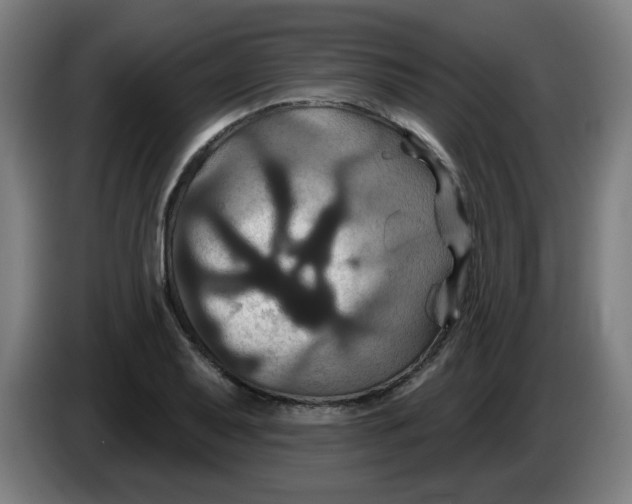 X0000086221079200704191733