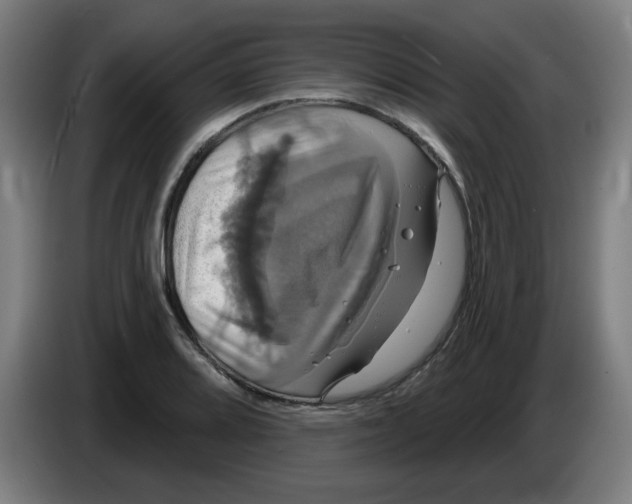 X0000086221080200704191733