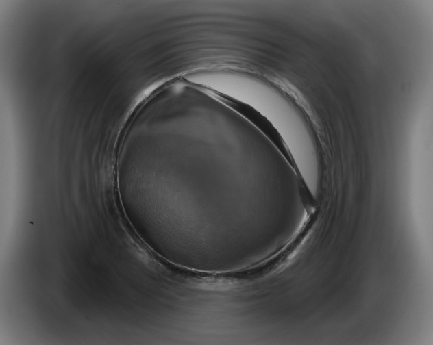 X0000086221081200704191733