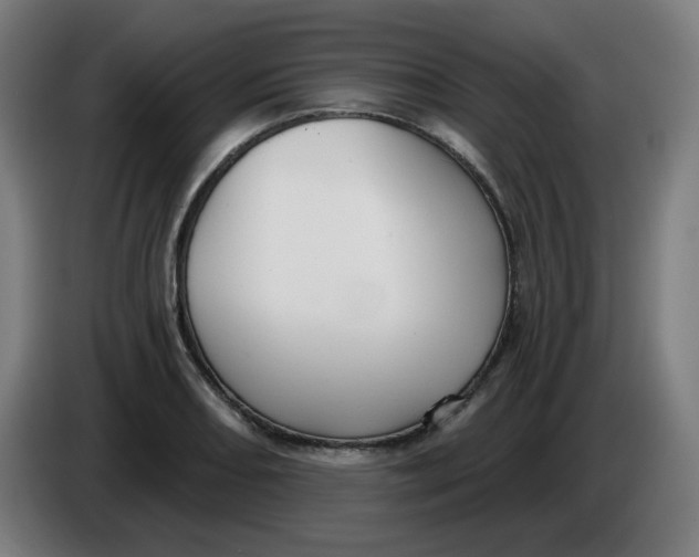 X0000086221082200704191733