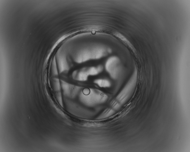 X0000086221083200704191733