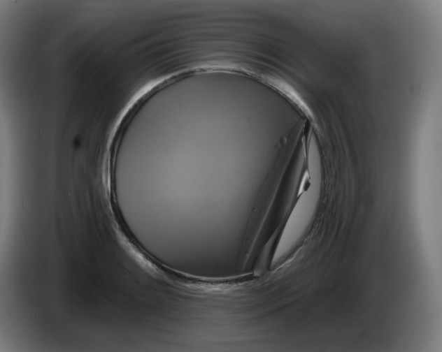 X0000086221084200704191733