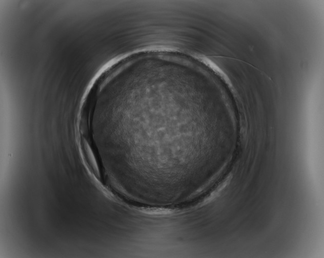 X0000086221085200704191733