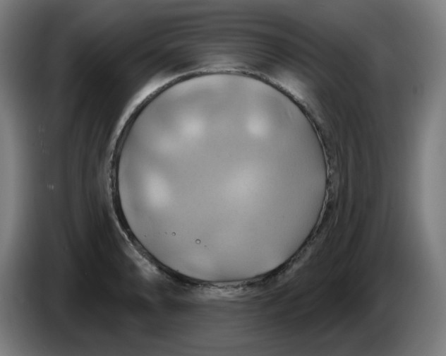 X0000086221086200704191733