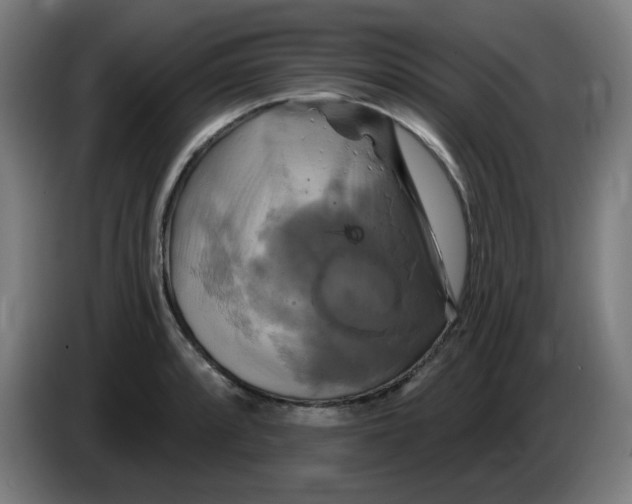 X0000086221088200704191733