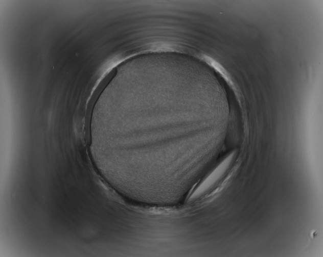 X0000086221089200704191733