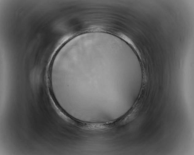 X0000086221090200704191733