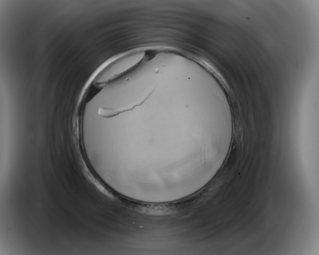 X0000086221092200704191733