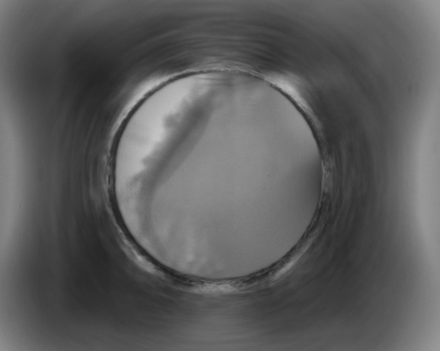 X0000086221094200704191733