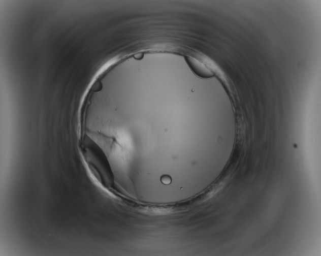 X0000086221095200704191733