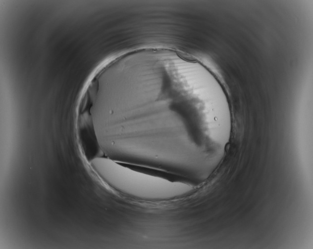 X0000086221096200704191733