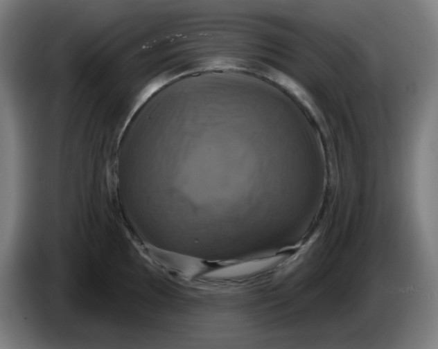 X0000086221097200704191733