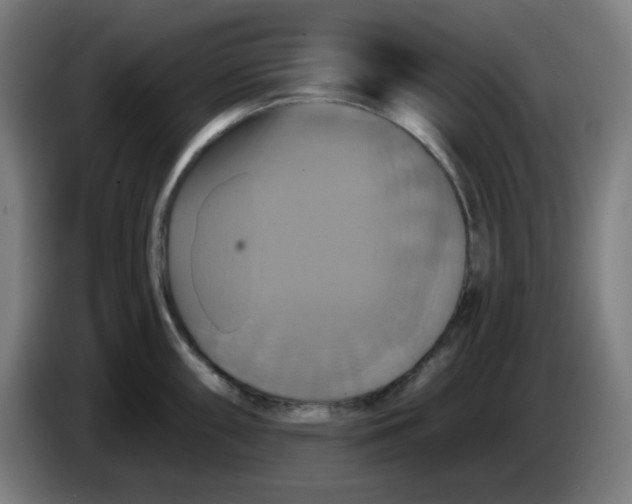 X0000086221098200704191733