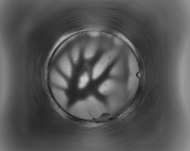 X0000086221099200704191733