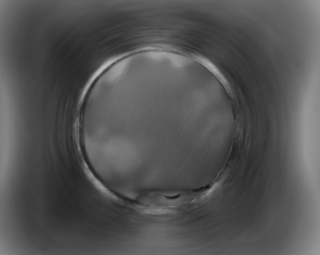 X0000086221100200704191733