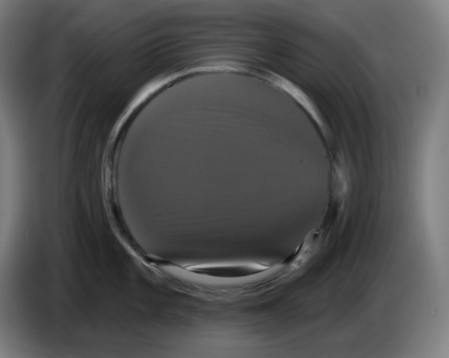 X0000086221101200704191733