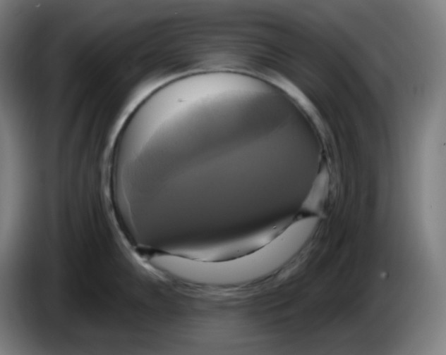 X0000086221102200704191733