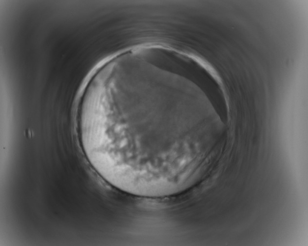 X0000086221104200704191733