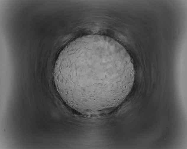 X0000086221105200704191732