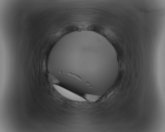 X0000086221106200704191732