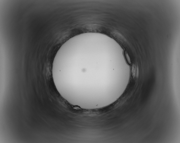 X0000086221107200704191732