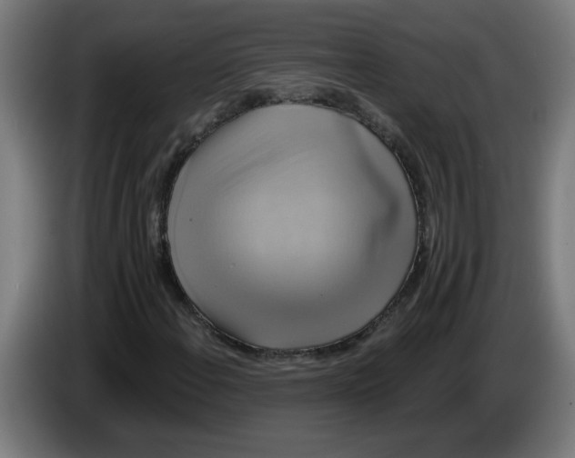 X0000086221108200704191732