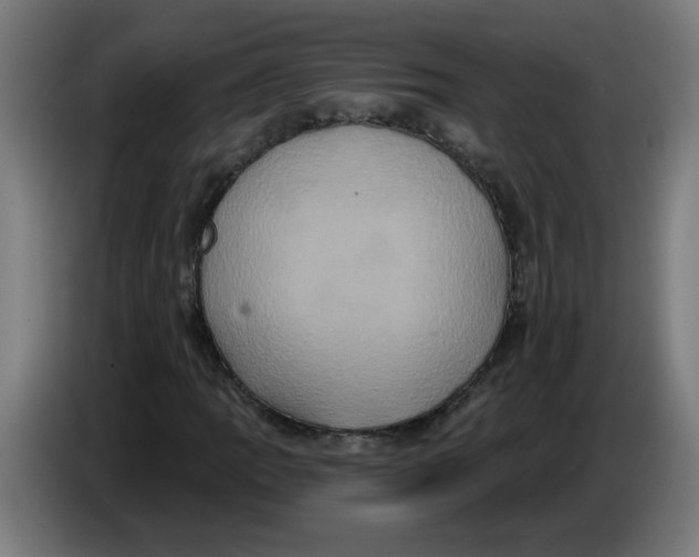 X0000086221109200704191732