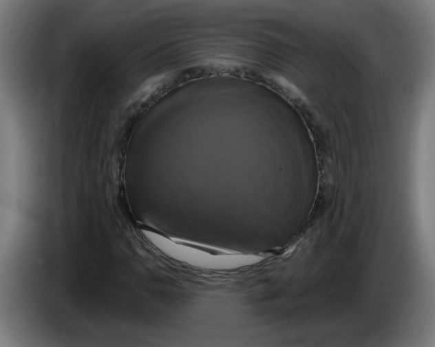 X0000086221110200704191732