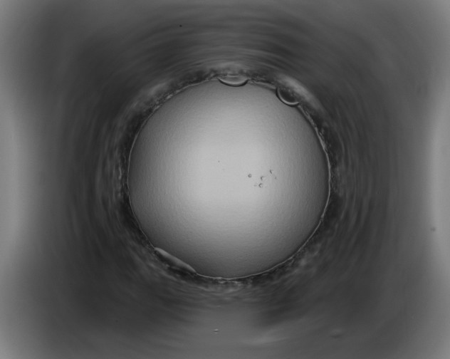 X0000086221111200704191732