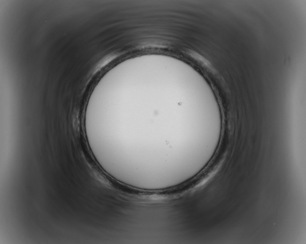 X0000086221113200704191732