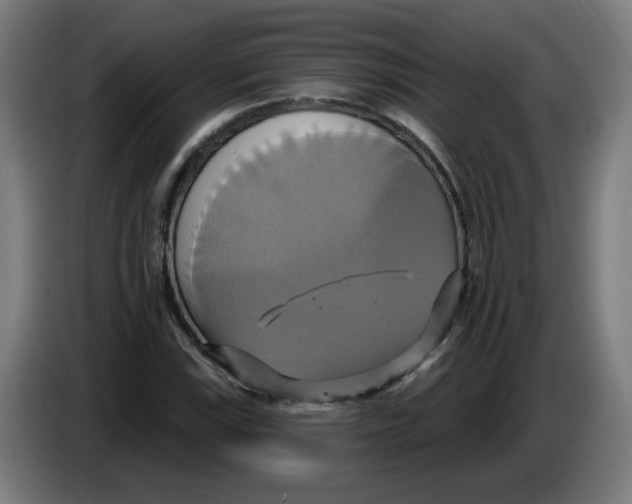 X0000086221115200704191732