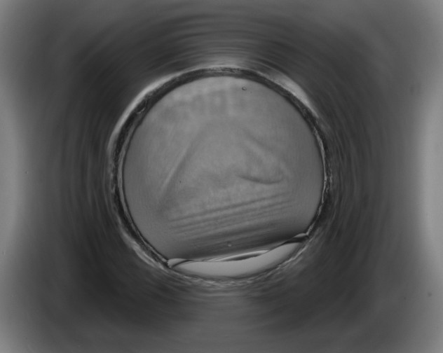 X0000086221116200704191732