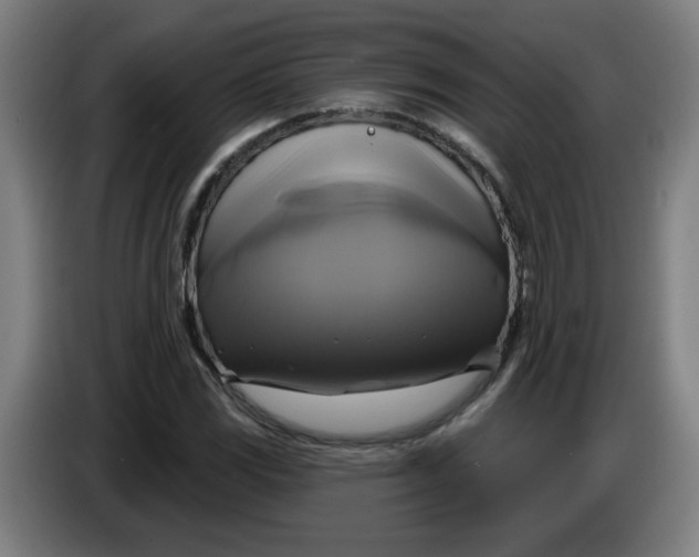 X0000086221117200704191732