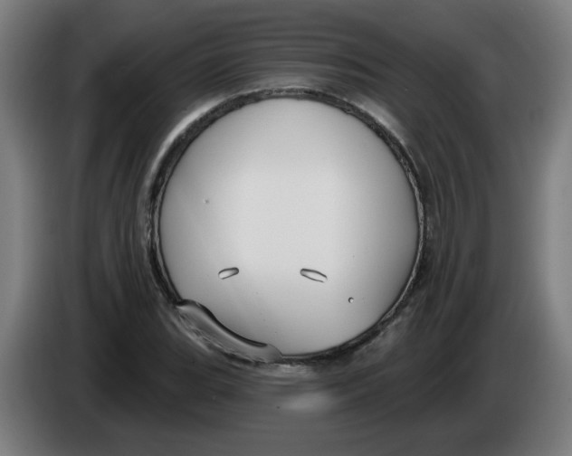 X0000086221119200704191732