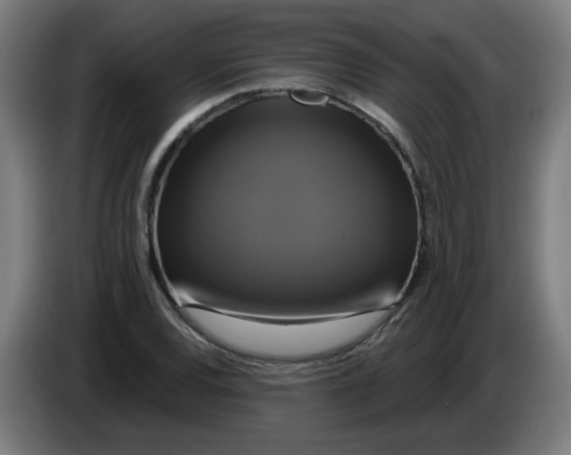 X0000086221120200704191733