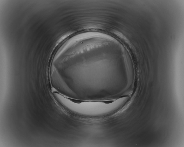 X0000086221121200704191733