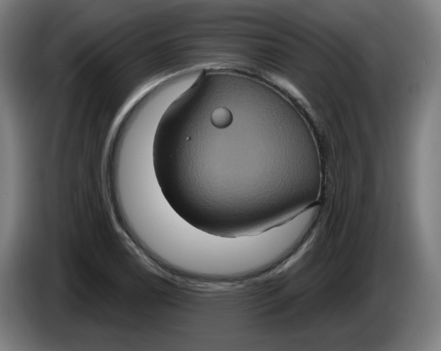 X0000086221122200704191733