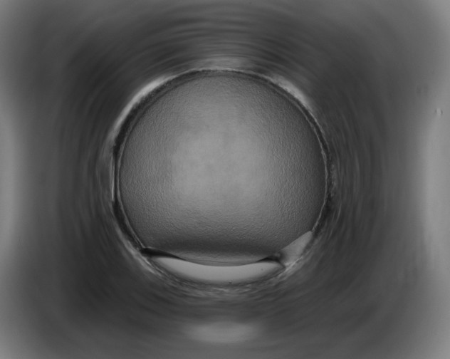 X0000086221123200704191733