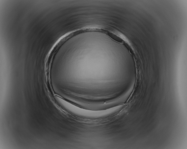 X0000086221124200704191733