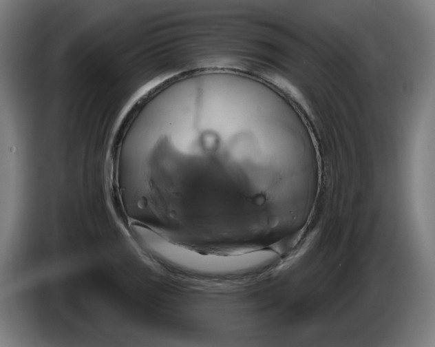 X0000086221125200704191733