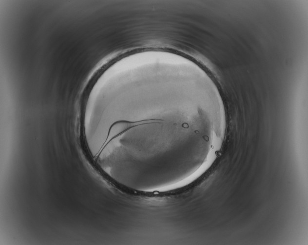 X0000086221126200704191733