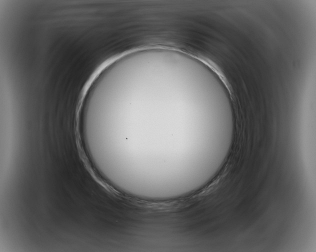 X0000086221128200704191733