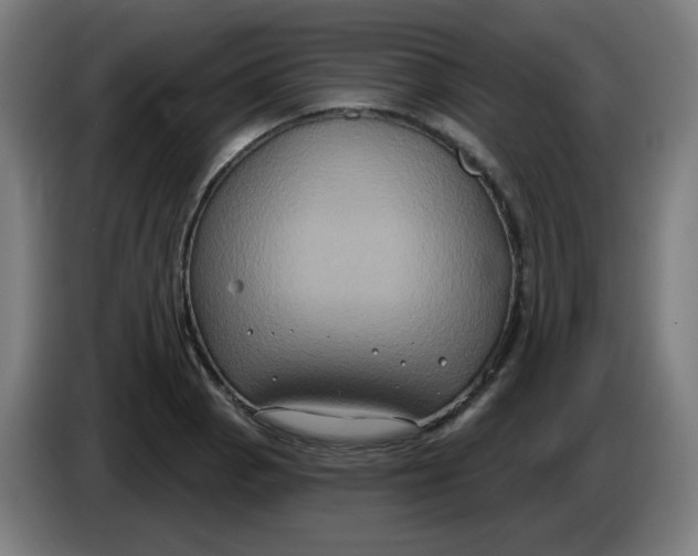 X0000086221129200704191733