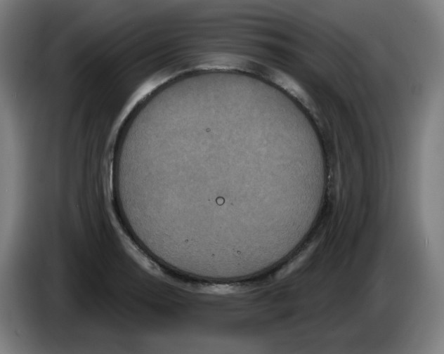 X0000086221130200704191733